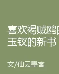 喜歡褐賊鷗的玉釵的新書 封面