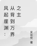 風起崖淵：從背到萬界之主 封面