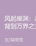 風起崖淵：從背到萬界之主 封面