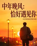 中年晚風：恰好遇見你 封面