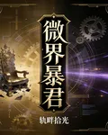 微界暴君 封面