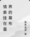 情象掛在量界的幕布 封面