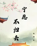 寧願，不歸去 封面