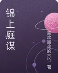 錦上庭謀 封面