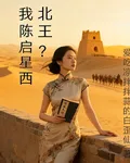 我陳啓星西北王？ 封面