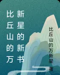 比丘山的萬新星的新書 封面
