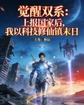 覺醒雙系：上報國家後，我以科技 封面