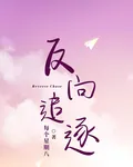 反向追逐 封面