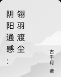 陰陽通感：翎羽渡塵 封面