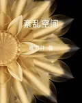 紊亂空間 封面