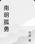 南明孤勇 封面