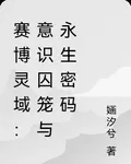 賽博靈域：意識囚籠與永生密碼 封面