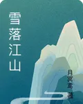 雪落江山 封面