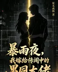 暴雨夜，我嫁給傳聞中的男同大佬 封面