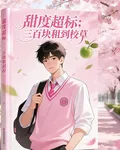 三百塊租到校草 封面