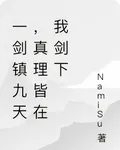 一劍鎮九天，真理皆在我劍下 封面
