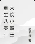 重生八零：大院小霸王 封面