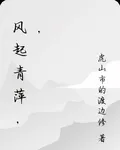 風起青萍，， 封面