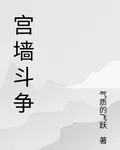 宮牆鬥爭 封面