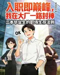 入職即巔峯：我在大廠一路封神 封面