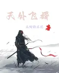天外飛婿 封面