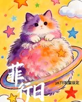 菲行日 封面