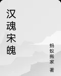 漢魂宋魄 封面