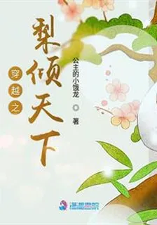 穿越之梨傾天下 封面