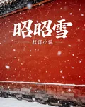 昭昭雪 封面
