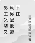 男主E又裝A又瘋男配他遭不住 封面