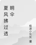 夏風拂過透明傘 封面