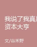 我說了我真是資本大亨 封面
