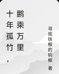 十年孤竹，鵬乘萬里 封面