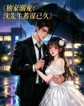 獨家寵溺：沈先生蓄謀已久 封面