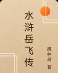 水滸岳飛傳 封面