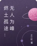 燼土孤途：無人爲峯 封面