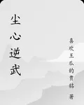 塵心逆武 封面