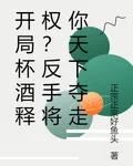 開局杯酒釋權？反手將你天下奪走 封面