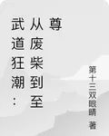 武道狂潮：從廢柴到至尊 封面