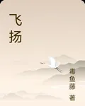 飛揚 封面