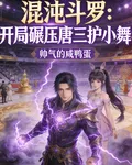 混沌鬥羅：開局碾壓唐三護小舞 封面