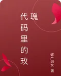 代碼裏的玫瑰 封面