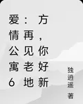愛情公寓6：再見老地方，你好新 封面