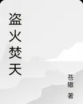 盜火焚天 封面