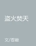盜火焚天 封面
