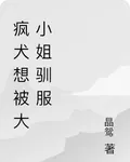 瘋犬想被大小姐馴服 封面