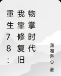 重生78：我靠修復舊物掌時代 封面