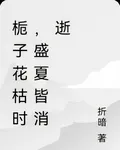 梔子花枯時，盛夏皆消逝 封面