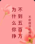 爲什麼你賺不到五百萬 封面