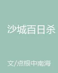 沙城百日殺 封面